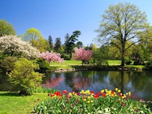 Beautiful Binney Park, Old Greenwich, CT